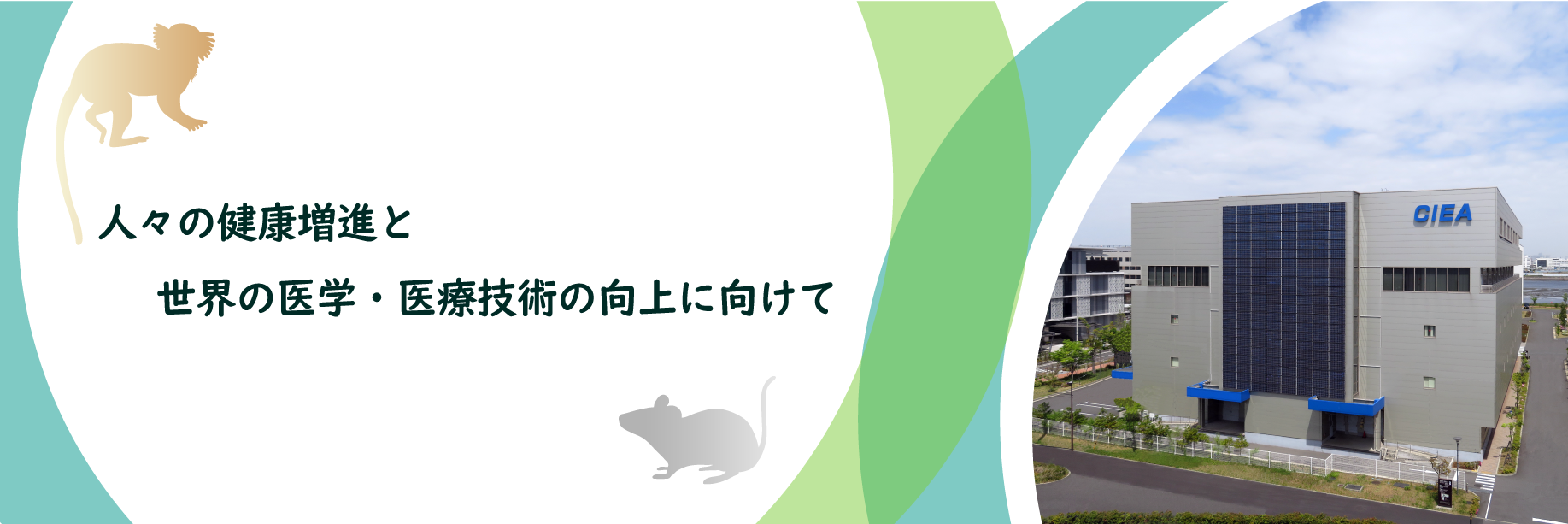 人々の健康増進と世界の医学・医療技術の向上に向けて
