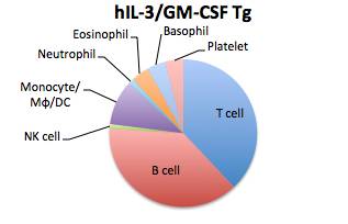 HSC移入後に分化するヒト細胞分画